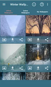 Winter Wallpapers screenshot 1