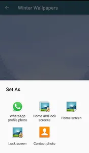 Winter Wallpapers screenshot 3