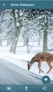 Winter Wallpapers screenshot 5