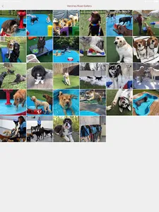 Playful Pups Retreat screenshot 10