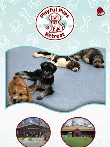 Playful Pups Retreat screenshot 6