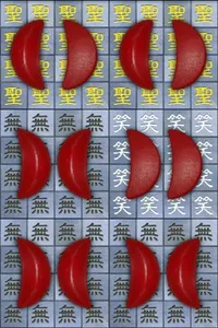 溫府千歲 - 擲筊、求籤、問運途 screenshot 2