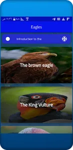 Eagles screenshot 1