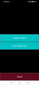 Easy/Check Pagos screenshot 9