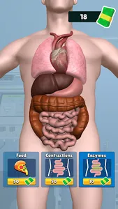 Organ Clicker screenshot 16