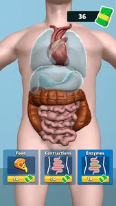 Organ Clicker screenshot 18