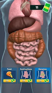 Organ Clicker screenshot 22