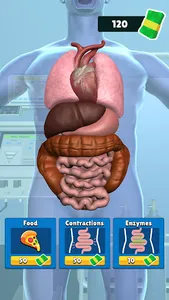 Organ Clicker screenshot 4