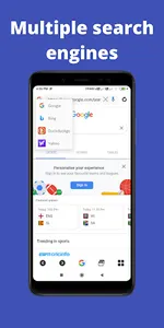 Web Browser screenshot 1