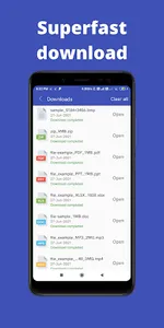 Web Browser screenshot 2