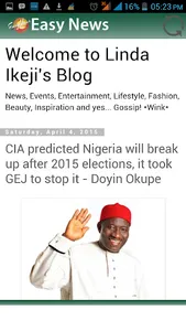 All Nigerian News screenshot 6