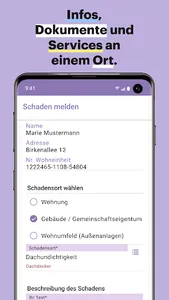 berlinovo screenshot 4