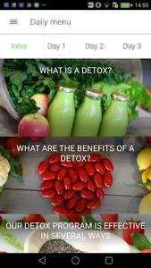 Detox 21 days diet screenshot 0