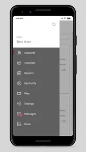 LEN24 Bank screenshot 4