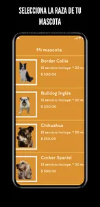 La Perruquería Valle screenshot 2
