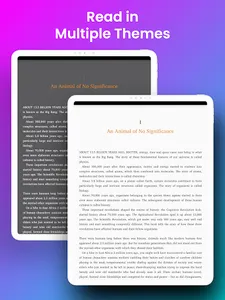 Immersion Reader screenshot 7