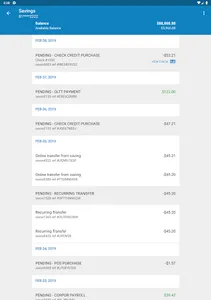 E-Central CU Mobile Banking screenshot 13