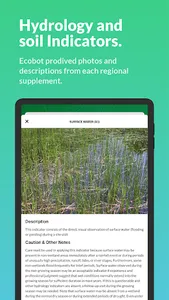Ecobot screenshot 18