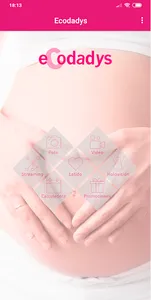 eCodadys screenshot 0