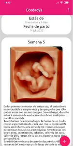 eCodadys screenshot 2
