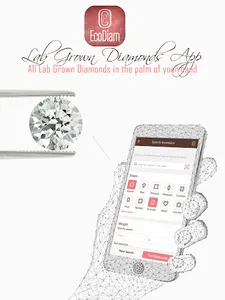 EcoDiam-LGD screenshot 5