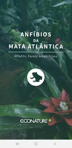 Anfíbios da Mata Atlântica screenshot 0