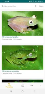 Anfíbios da Mata Atlântica screenshot 1