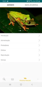 Anfíbios da Mata Atlântica screenshot 2