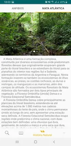 Anfíbios da Mata Atlântica screenshot 4