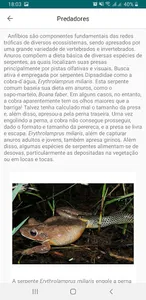 Anfíbios da Mata Atlântica screenshot 6