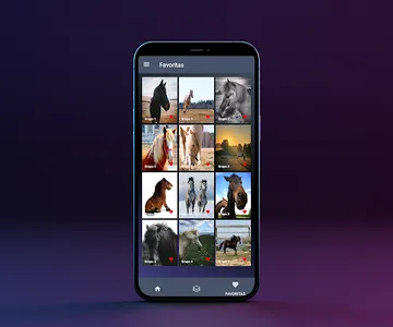Fotos de Caballos screenshot 1