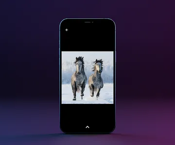 Fotos de Caballos screenshot 4