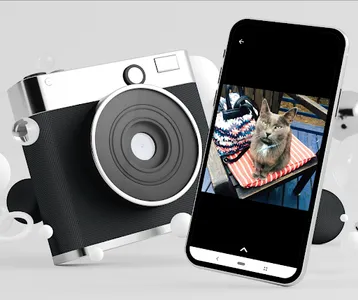 Fotos de Gatos screenshot 2
