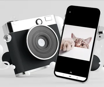 Fotos de Gatos screenshot 3