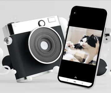 Fotos de Gatos screenshot 4