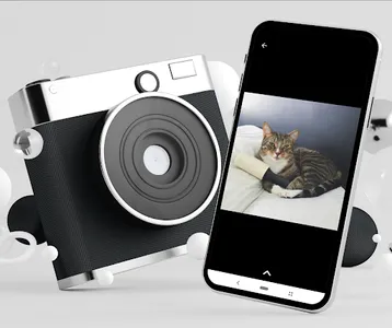 Fotos de Gatos screenshot 5