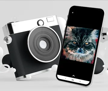 Fotos de Gatos screenshot 7