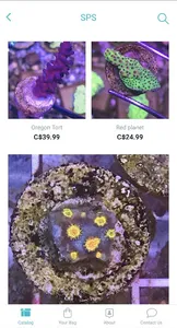Concrete Blonde Corals Store screenshot 1