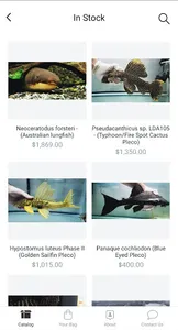 Jason's Plecos & Cichlids LLC screenshot 1