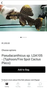 Jason's Plecos & Cichlids LLC screenshot 2