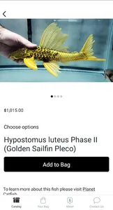 Jason's Plecos & Cichlids LLC screenshot 4