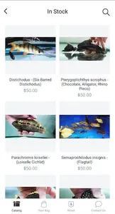 Jason's Plecos & Cichlids LLC screenshot 5