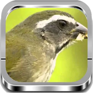 Trinca Ferro |Completos screenshot 0