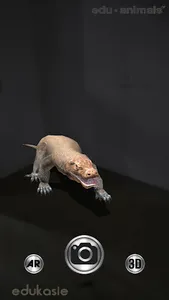 EduAnimals: P. Bali, NTB, NTT screenshot 4