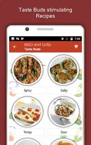 Barbecue Grill Recipes Offline screenshot 19