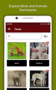 Ankara Travel & Explore, Offli screenshot 12