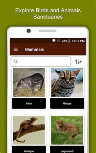 Belize Travel & Explore, Offli screenshot 12