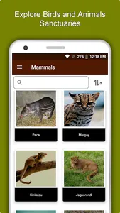 Belize Travel & Explore, Offli screenshot 4