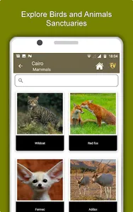 Cairo Travel & Explore, Offlin screenshot 12