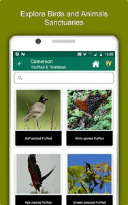 Cameroon Travel & Explore, Off screenshot 12